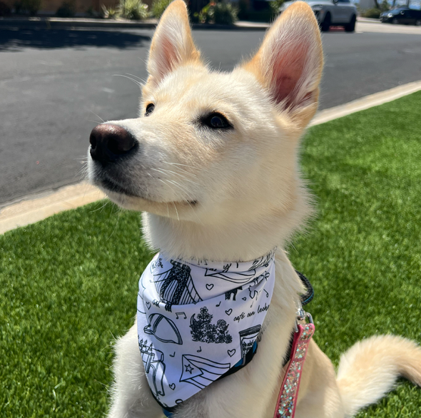 In The Heights Pet Bandana