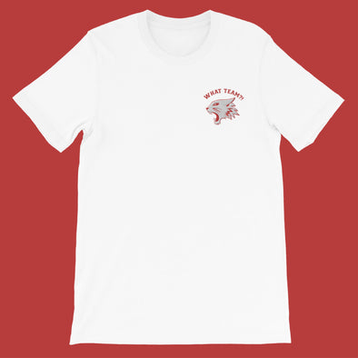 What Team? Embroidered T-Shirt